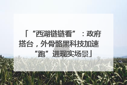“西湖链链看”：政府搭台，外骨骼黑科技加速“跑”进现实场景