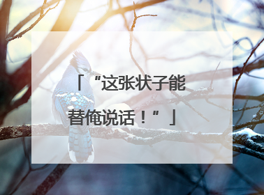“这张状子能替俺说话！”