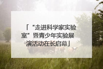 “走进科学家实验室”暨青少年实验展演活动在长启幕