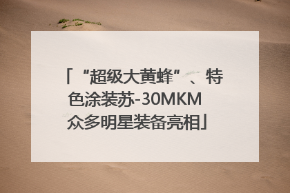 “超级大黄蜂”、特色涂装苏-30MKM 众多明星装备亮相