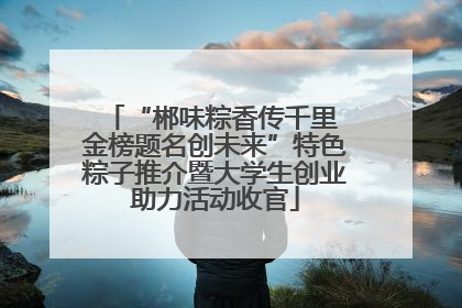 “郴味粽香传千里 金榜题名创未来”特色粽子推介暨大学生创业助力活动收官
