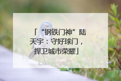 “钢铁门神”陆天宇：守好球门，捍卫城市荣耀