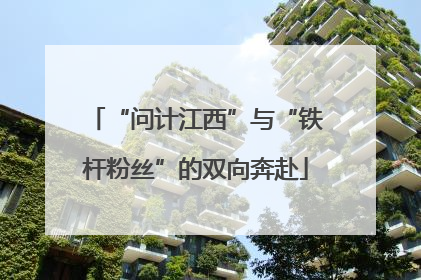 “问计江西”与“铁杆粉丝”的双向奔赴