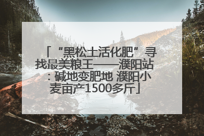 “黑松土活化肥”寻找最美粮王——濮阳站：碱地变肥地 濮阳小麦亩产1500多斤