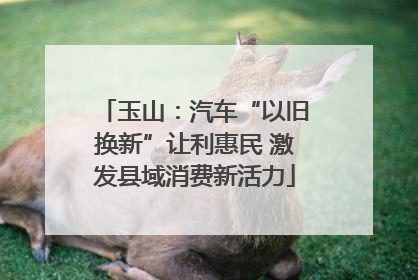 玉山：汽车“以旧换新”让利惠民 激发县域消费新活力