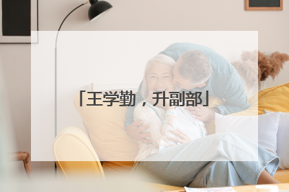 王学勤，升副部