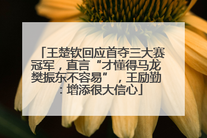 王楚钦回应首夺三大赛冠军，直言“才懂得马龙樊振东不容易”，王励勤：增添很大信心