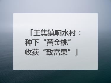 王集镇响水村：种下“黄金桃” 收获“致富果”