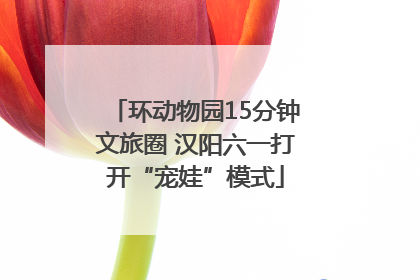 环动物园15分钟文旅圈 汉阳六一打开“宠娃”模式