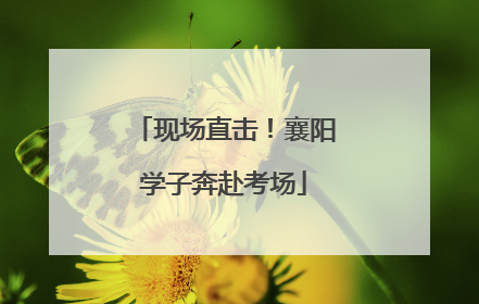现场直击！襄阳学子奔赴考场