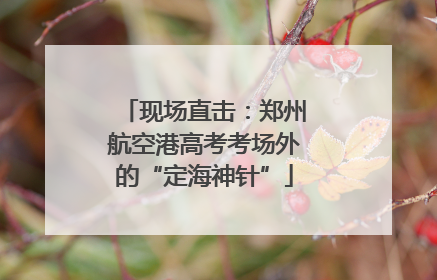 现场直击：郑州航空港高考考场外的“定海神针”