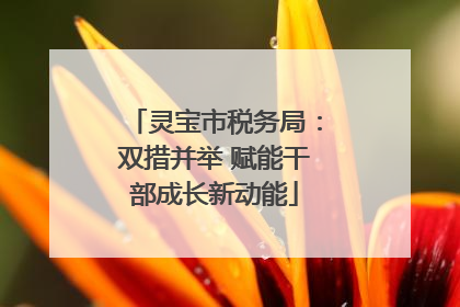 灵宝市税务局：双措并举 赋能干部成长新动能