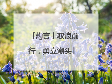 灼言丨驭浪前行，勇立潮头