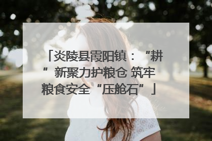 炎陵县霞阳镇：“耕”新聚力护粮仓 筑牢粮食安全“压舱石”