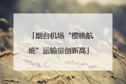 烟台机场“樱桃航班”运输量创新高