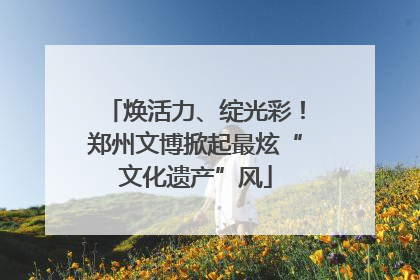 焕活力、绽光彩！郑州文博掀起最炫“文化遗产”风