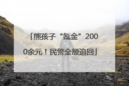 熊孩子“氪金”2000余元！民警全额追回