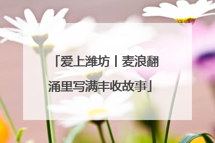 爱上潍坊丨麦浪翻涌里写满丰收故事