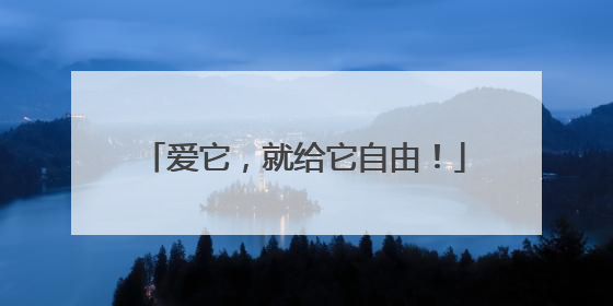 爱它，就给它自由！
