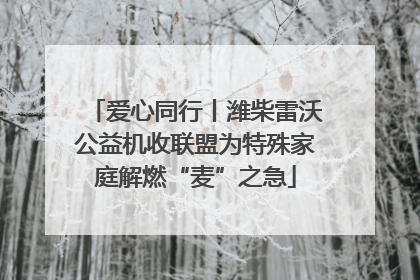 爱心同行丨潍柴雷沃公益机收联盟为特殊家庭解燃“麦”之急