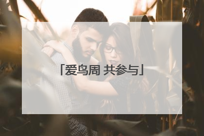 爱鸟周 共参与