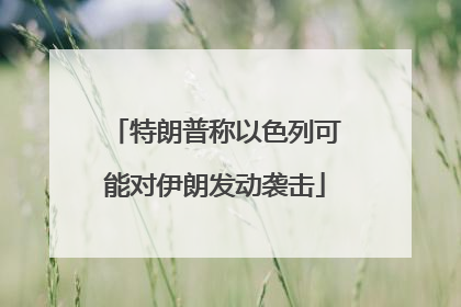 特朗普称以色列可能对伊朗发动袭击