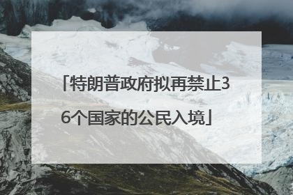 特朗普政府拟再禁止36个国家的公民入境