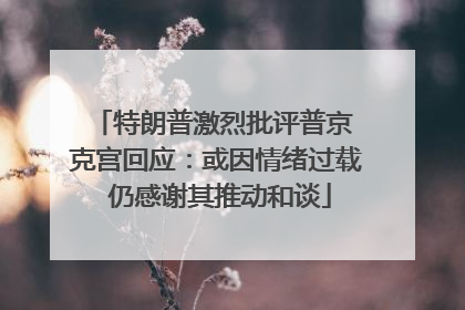 特朗普激烈批评普京 克宫回应：或因情绪过载 仍感谢其推动和谈