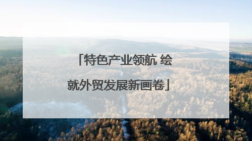 特色产业领航 绘就外贸发展新画卷