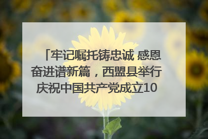 牢记嘱托铸忠诚 感恩奋进谱新篇，西盟县举行庆祝中国共产党成立104周年文艺晚会