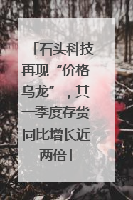 石头科技再现“价格乌龙”，其一季度存货同比增长近两倍
