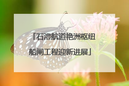 石澧航道艳洲枢纽船闸工程迎新进展