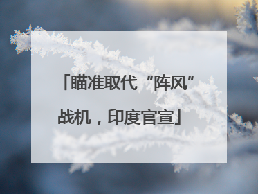 瞄准取代“阵风”战机，印度官宣