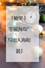 瞭望丨“零碳海岛”写出人海和谐