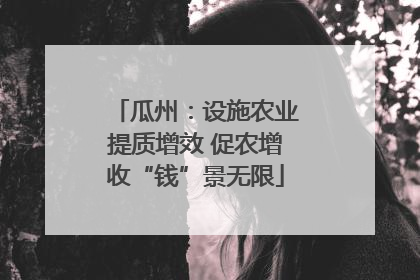 瓜州：设施农业提质增效 促农增收“钱”景无限