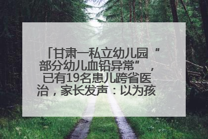 甘肃一私立幼儿园“部分幼儿血铅异常”，已有19名患儿跨省医治，家长发声：以为孩子出问题，没想过会与学校有关