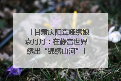 甘肃庆阳聋哑绣娘袁丹丹：在静音世界绣出“锦绣山河”