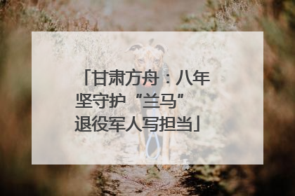 甘肃方舟：八年坚守护“兰马” 退役军人写担当