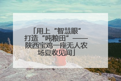 用上“智慧眼” 打造“吨粮田”——陕西宝鸡一座无人农场夏收见闻