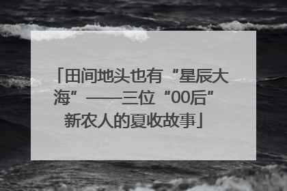田间地头也有“星辰大海”——三位“00后”新农人的夏收故事