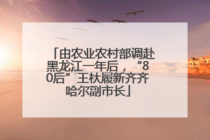 由农业农村部调赴黑龙江一年后，“80后”王杕履新齐齐哈尔副市长