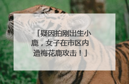 疑因拍刚出生小鹿，女子在市区内遭梅花鹿攻击！