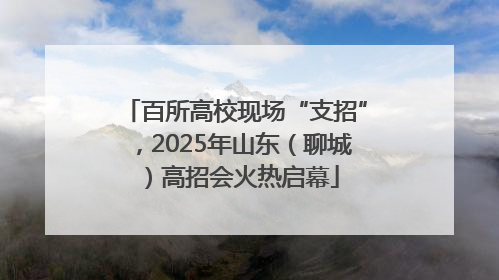 百所高校现场“支招”，2025年山东（聊城）高招会火热启幕