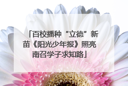 百校播种“立德”新苗《阳光少年报》照亮南召学子求知路