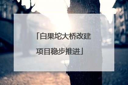 白果坨大桥改建项目稳步推进