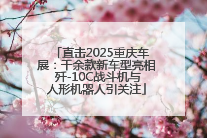 直击2025重庆车展：千余款新车型亮相 歼-10C战斗机与人形机器人引关注