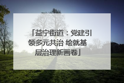 益宁街道：党建引领多元共治 绘就基层治理新画卷