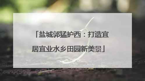 盐城郭猛护西：打造宜居宜业水乡田园新美景