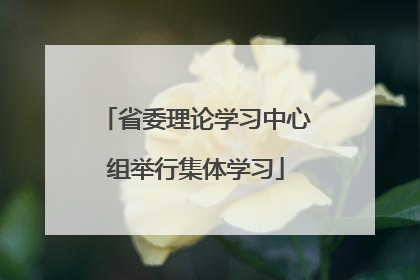 省委理论学习中心组举行集体学习