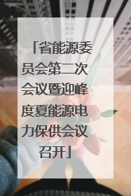 省能源委员会第二次会议暨迎峰度夏能源电力保供会议召开